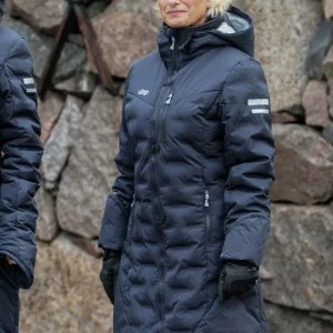 Parka Ice Dam