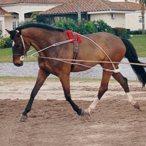 Pessoa Longeringssystem